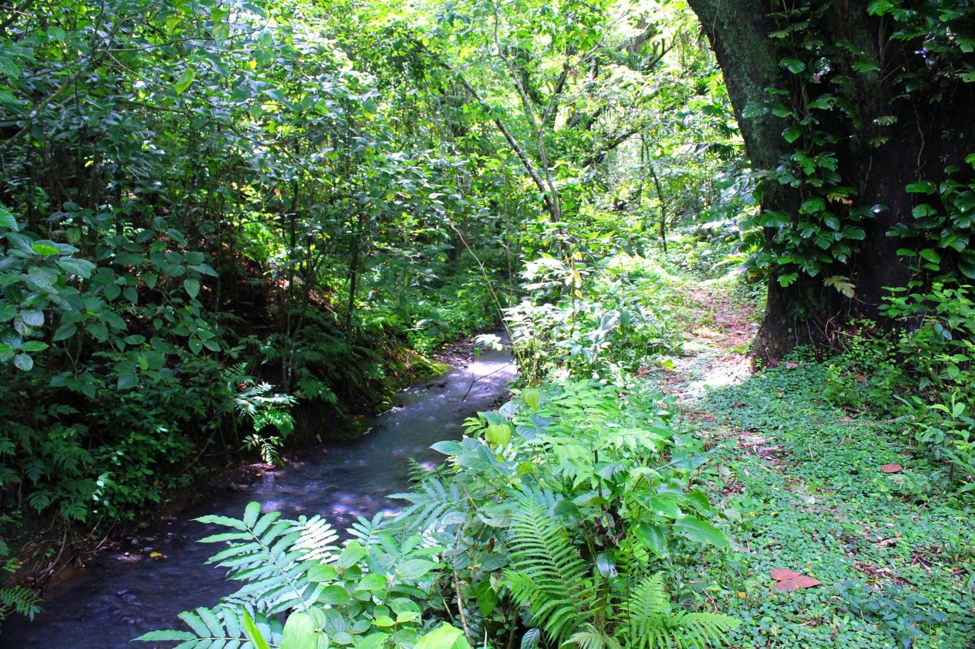 Sigasiga Sands Boutique Bungalows Savusavu Kültér fotó