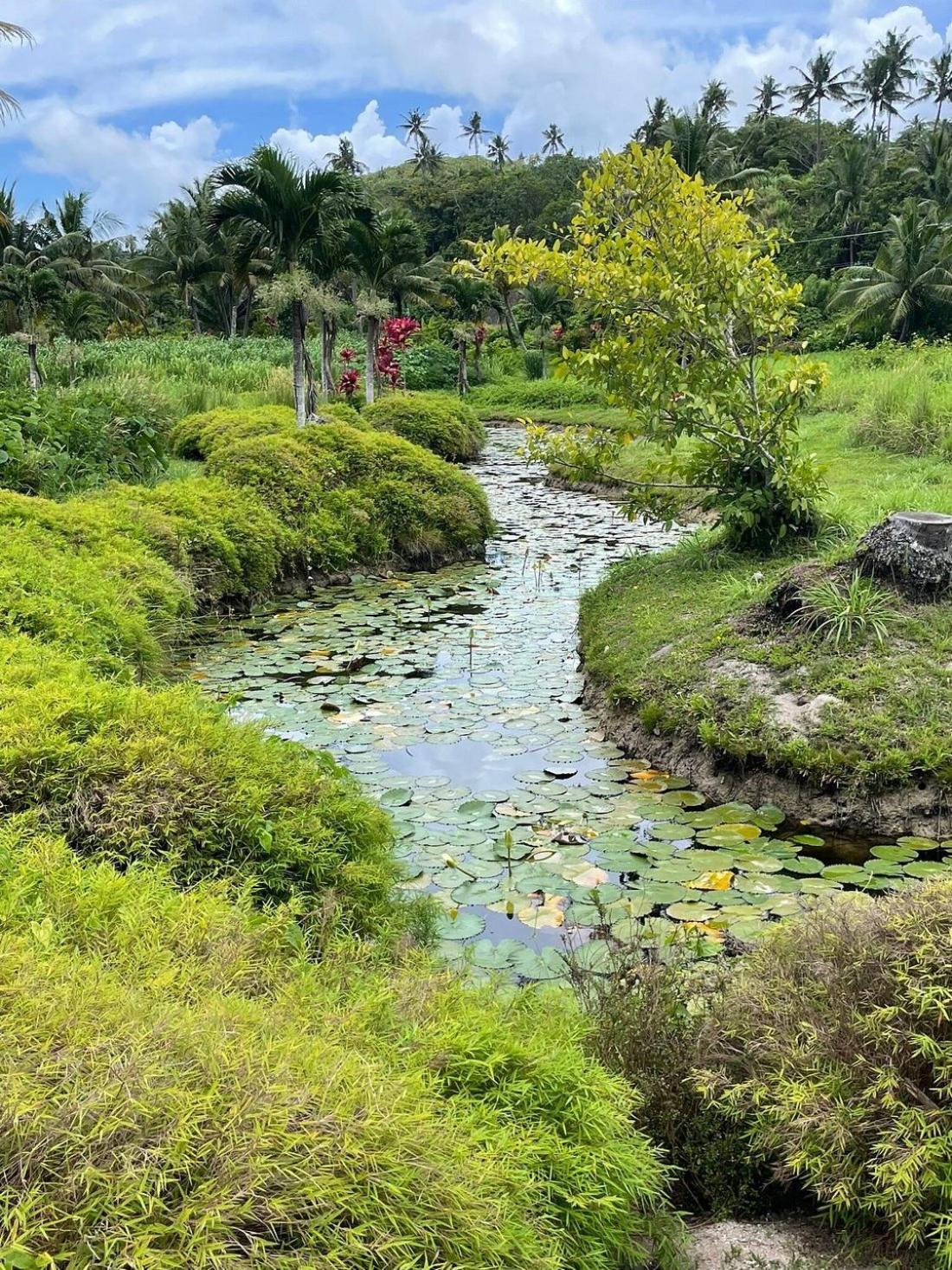 Sigasiga Sands Boutique Bungalows Savusavu Kültér fotó